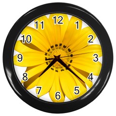 Transparent Flower Summer Yellow Wall Clocks (black) by Simbadda