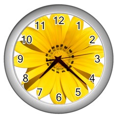 Transparent Flower Summer Yellow Wall Clocks (silver)  by Simbadda