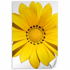 Transparent Flower Summer Yellow Canvas 20  X 30   by Simbadda