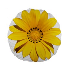 Transparent Flower Summer Yellow Standard 15  Premium Flano Round Cushions