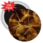 Leaves Autumn Texture Brown 3  Magnets (100 pack) Front