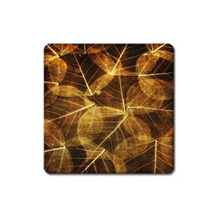 Leaves Autumn Texture Brown Square Magnet by Simbadda