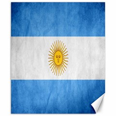 Argentina Texture Background Canvas 8  X 10  by Simbadda