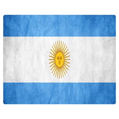 Argentina Texture Background Double Sided Flano Blanket (medium)  by Simbadda