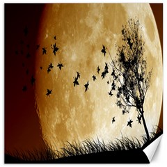 Birds Sky Planet Moon Shadow Canvas 16  X 16   by Simbadda