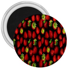 Berry Strawberry Many 3  Magnets by Simbadda