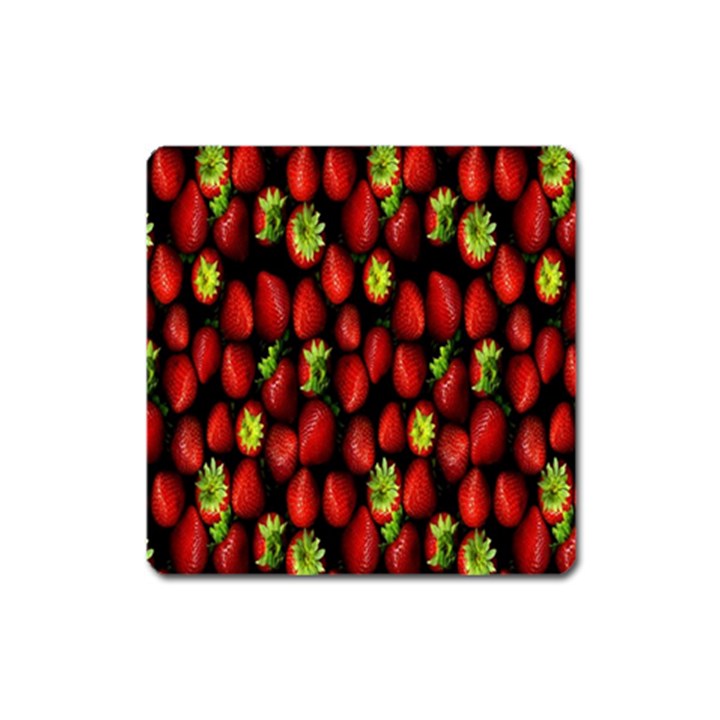 Berry Strawberry Many Square Magnet