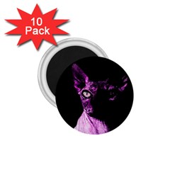 Pink Sphynx Cat 1 75  Magnets (10 Pack)  by Valentinaart