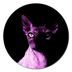 Pink Sphynx Cat Magnet 5  (round) by Valentinaart