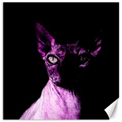 Pink Sphynx Cat Canvas 12  X 12   by Valentinaart