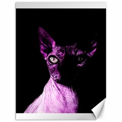 Pink Sphynx Cat Canvas 12  X 16   by Valentinaart