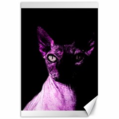 Pink Sphynx Cat Canvas 24  X 36  by Valentinaart