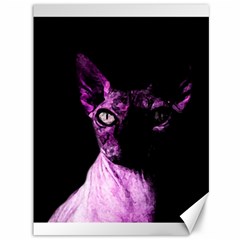 Pink Sphynx Cat Canvas 36  X 48   by Valentinaart