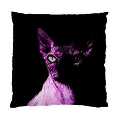 Pink Sphynx Cat Standard Cushion Case (two Sides) by Valentinaart