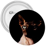 Sphynx cat 3  Buttons Front