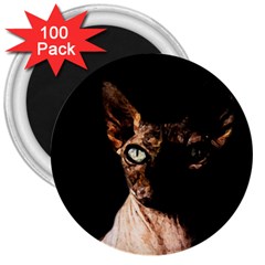 Sphynx Cat 3  Magnets (100 Pack) by Valentinaart