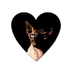 Sphynx Cat Heart Magnet by Valentinaart