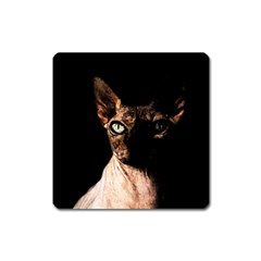 Sphynx Cat Square Magnet by Valentinaart