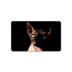 Sphynx Cat Magnet (name Card) by Valentinaart