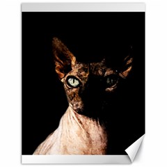 Sphynx Cat Canvas 18  X 24   by Valentinaart