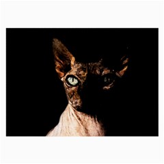 Sphynx Cat Large Glasses Cloth (2-side) by Valentinaart