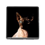 Sphynx cat Memory Card Reader (Square) Front