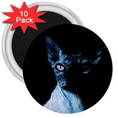 Blue Sphynx Cat 3  Magnets (10 Pack)  by Valentinaart