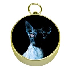 Blue Sphynx Cat Gold Compasses by Valentinaart