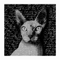 Sphynx Cat Medium Glasses Cloth (2-side) by Valentinaart