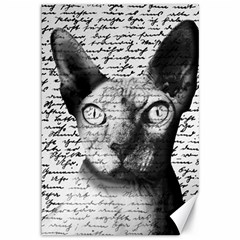 Sphynx Cat Canvas 12  X 18   by Valentinaart