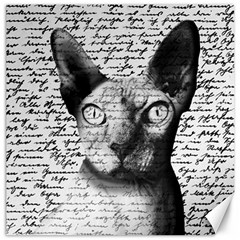 Sphynx Cat Canvas 20  X 20   by Valentinaart