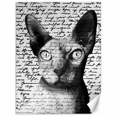 Sphynx Cat Canvas 36  X 48   by Valentinaart