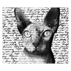 Sphynx Cat Double Sided Flano Blanket (small)  by Valentinaart