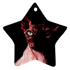 Sphynx Cat Star Ornament (two Sides) by Valentinaart