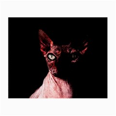 Sphynx Cat Small Glasses Cloth (2-side) by Valentinaart