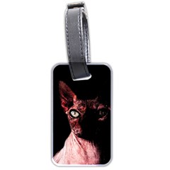 Sphynx Cat Luggage Tags (two Sides) by Valentinaart