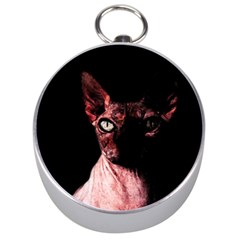 Sphynx Cat Silver Compasses by Valentinaart