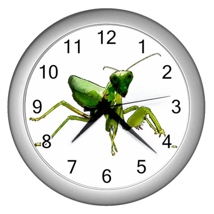 Mantis Wall Clocks (Silver) 