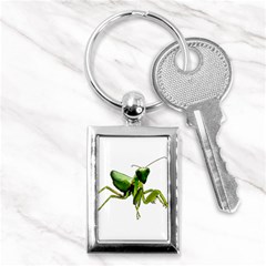 Mantis Key Chains (rectangle)  by Valentinaart