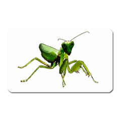 Mantis Magnet (rectangular) by Valentinaart