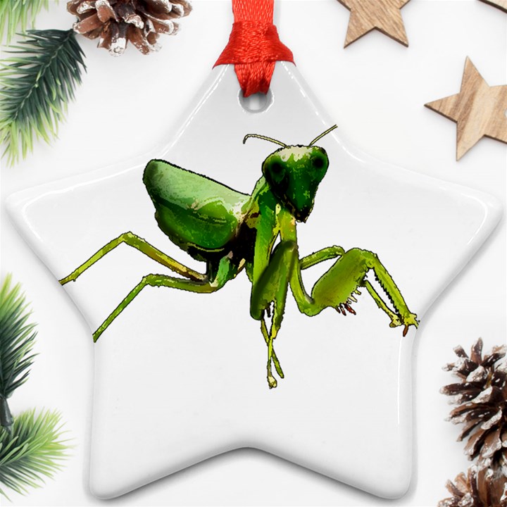 Mantis Star Ornament (Two Sides)