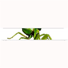 Mantis Small Bar Mats by Valentinaart