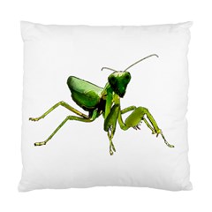 Mantis Standard Cushion Case (two Sides) by Valentinaart