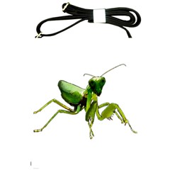 Mantis Shoulder Sling Bags by Valentinaart