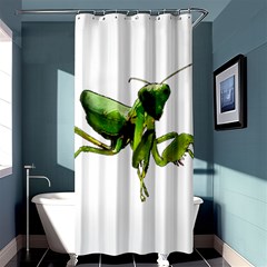 Mantis Shower Curtain 36  X 72  (stall)  by Valentinaart