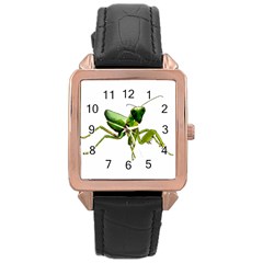 Mantis Rose Gold Leather Watch  by Valentinaart