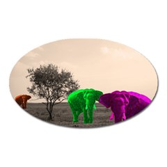 Africa  Oval Magnet by Valentinaart