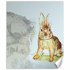 Rabbit  Canvas 8  X 10  by Valentinaart