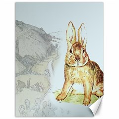 Rabbit  Canvas 12  X 16  