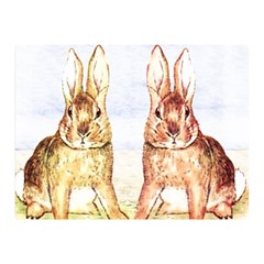 Rabbits  Double Sided Flano Blanket (mini)  by Valentinaart